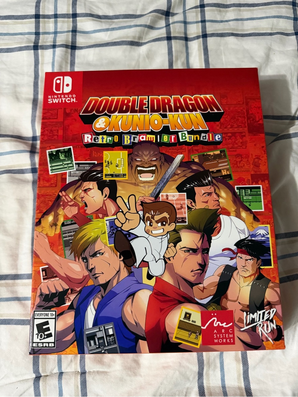 Double Dragon Kunio-kun Retro Brawler Bundle (NO GAME INCLUDED)